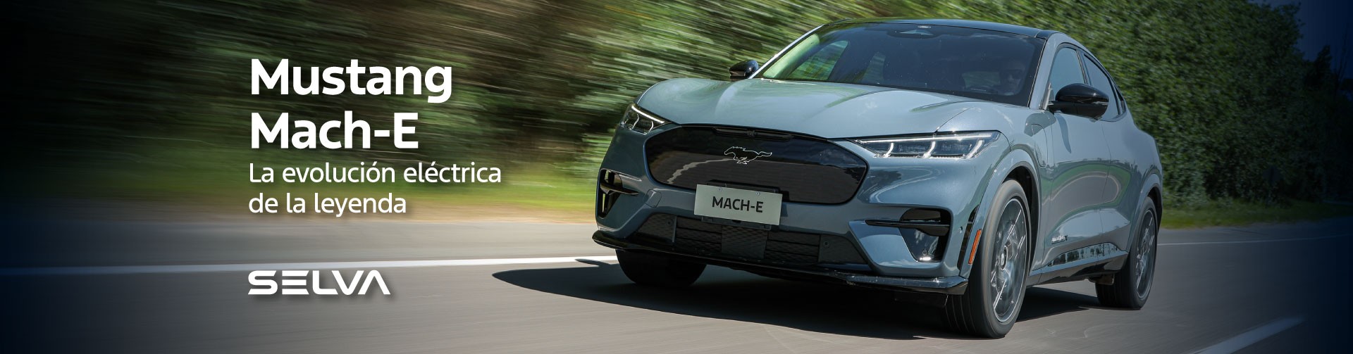 Mustang Mach-E
